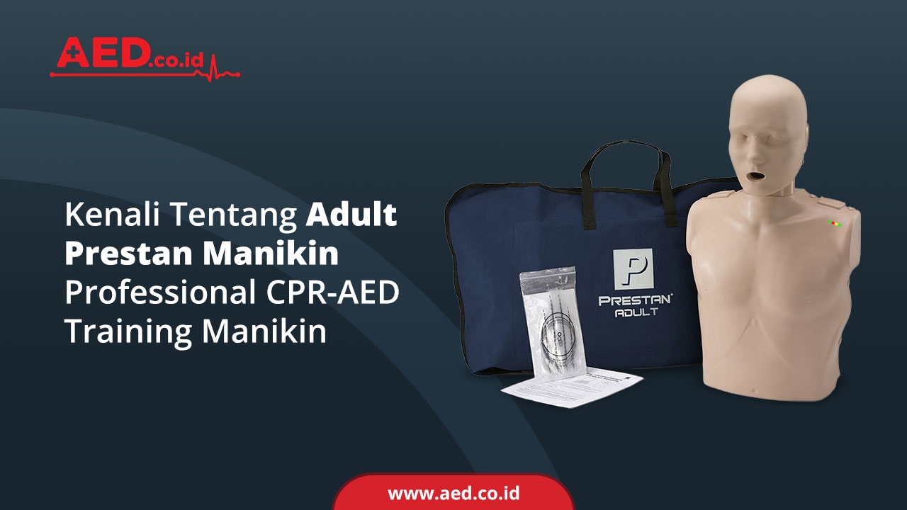 Kenali Tentang Adult Prestan Manekin Professional CPR-AED Training ...