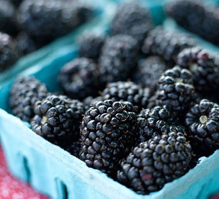 yummy blueberries in blue rack