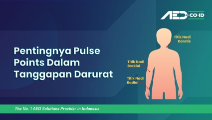 Pentingnya Pulse Points Dalam Tanggapan Darurat 